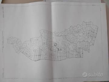Terreni sparsi