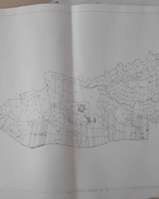 Terreni sparsi