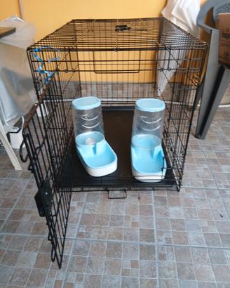 kennel 