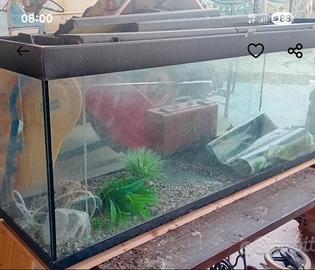 acquario 450