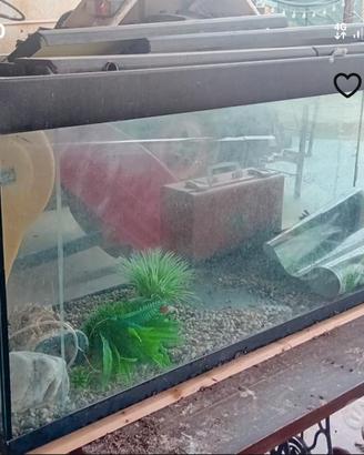 acquario 450