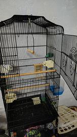 Gabbia per pappagalli/uccelli 