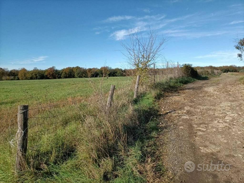 Immobile in asta di 18460 m² a Canino - Vista 4