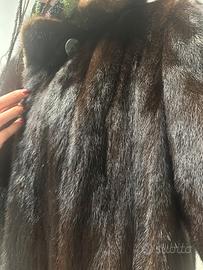 Pelliccia in Visone