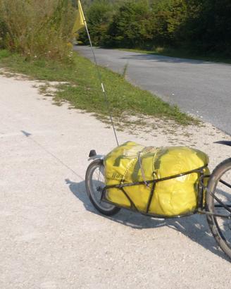 Carrello per bici