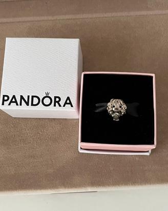 Charm Pandora Harry Potter