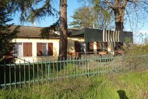 RGE 426/2023 Trib Pavia