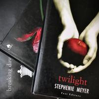 Set 3 libri saga Twilight, New Moon, Breaking Dawn