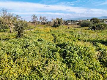 Terreno 7000 metri con fabbricato C2