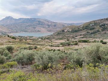 Terreno agricolo, edificabile in C.da Batato