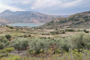 Terreno agricolo, edificabile in C.da Batato