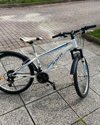 Mountain  bike