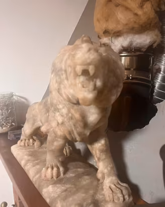 Leone Ruggente in alabastro bardiglio di Volterra