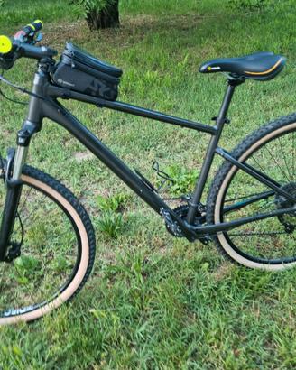 Mountain bike Focus 
