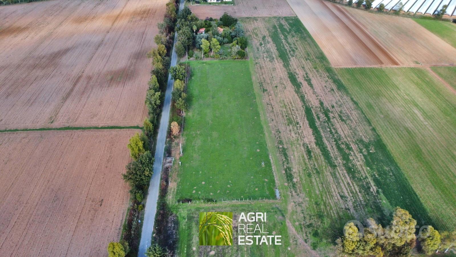 Sabaudia (LT) - Terreno 8.000 mq con pozzo | TR454 - Vista 2