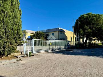 CAPANNONE A COLONNELLA