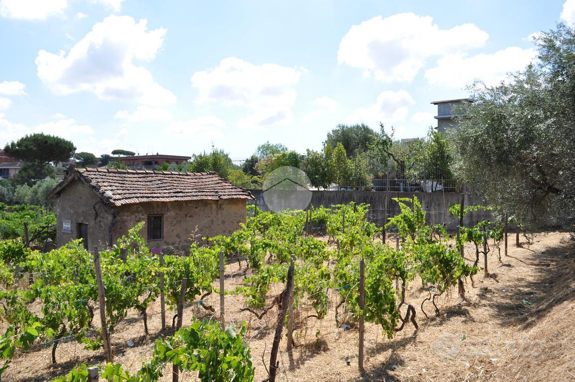 RUSTICO A ROMA - Vista 5