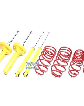 SOSPENSIONE SPORTIVA RENAULT CLIO 1990-1998 60/--m
