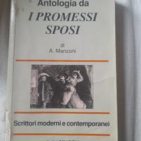 libro di antologia i promessi sposi 