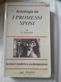 libro di antologia i promessi sposi 