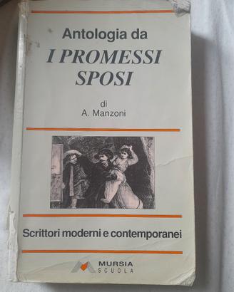 libro di antologia i promessi sposi 