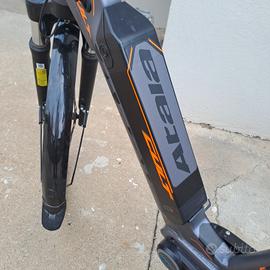 bici pedalata assistita