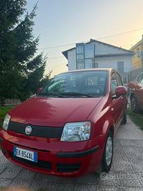 Panda rossa