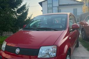 Panda rossa