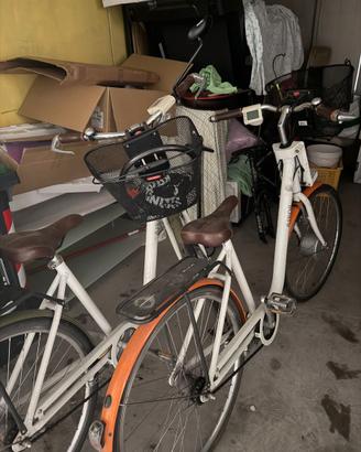 Askoll bici elettrica due steso modello