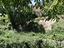 Immagine 10