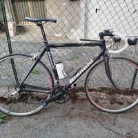 bianchi corsa carbonio