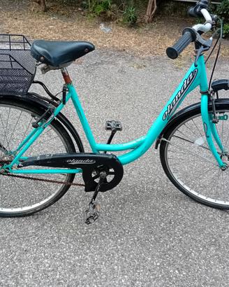 Bicicletta