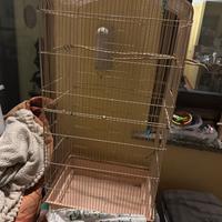 Gabbia per pappagalli