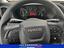 Immagine 8