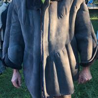 montone grigio a mantella