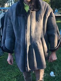 montone grigio a mantella