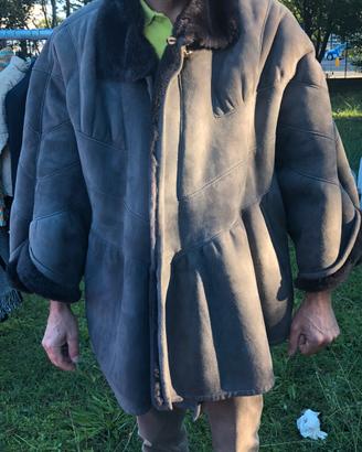 montone grigio a mantella