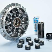 Variatore Polini per T-Max 530 241735