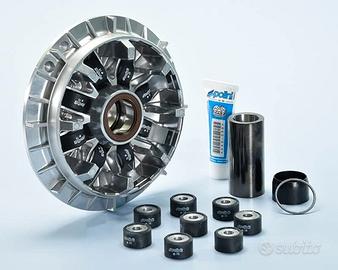 Variatore Polini per T-Max 530 241735