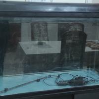 Acquario + accessori 