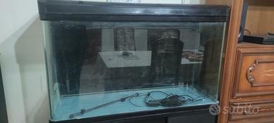 Acquario + accessori 