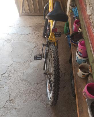 bici 24 