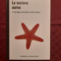 Sezione aurea mondo matematico rba