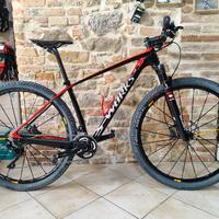 bici MTB S-Works Stumpjumper 29 2017