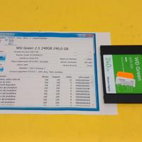 SSD 240 Gbyte WD Western Digital, interfaccia SATA