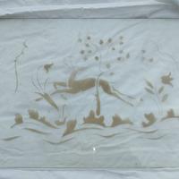 coppia di vetri per  vetrina vintage