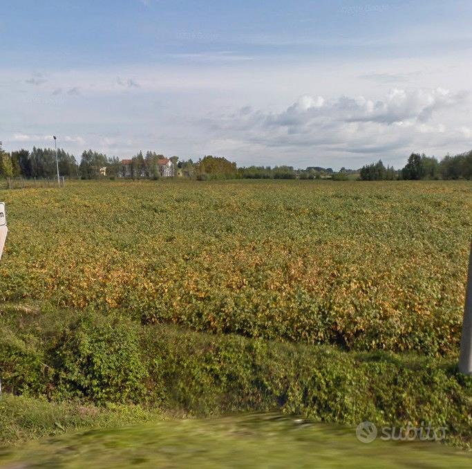 Terreno agricolo sempre coltivato e ben tenuto - Vista 2