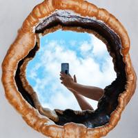 specchio Noll Alexandre in legno