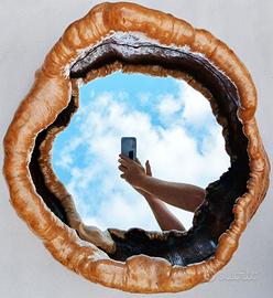 specchio Noll Alexandre in legno