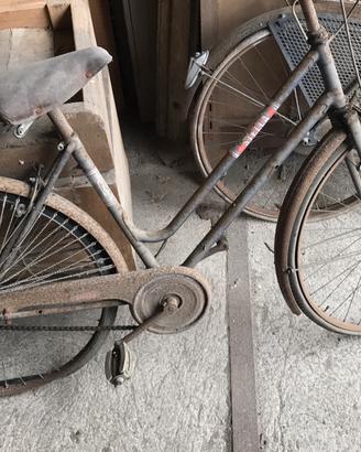 Bicicletta vintage da donna